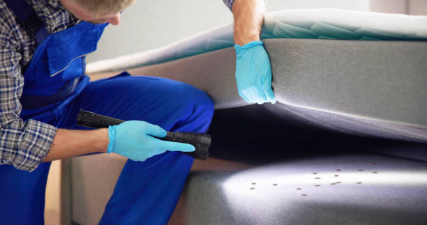 Best Pest Control for Restaurants  in Morehead City, NC