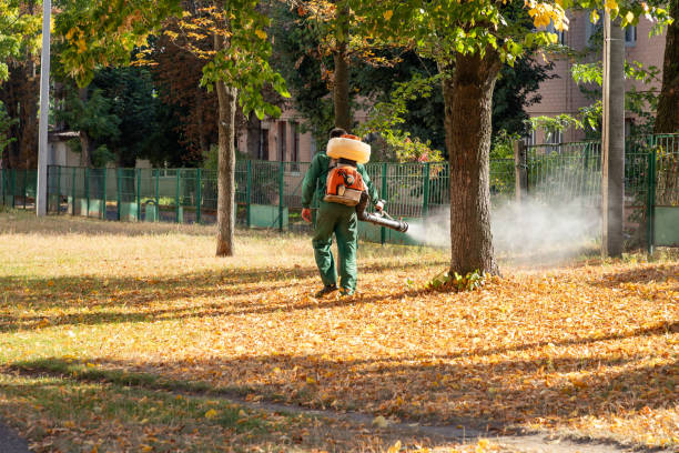 Best Bed Bug Extermination  in Morehead City, NC