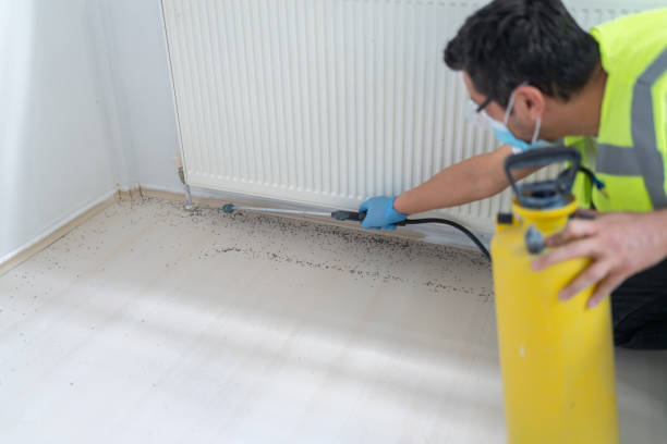 Best Commercial Pest Control Services  in Morehead City, NC